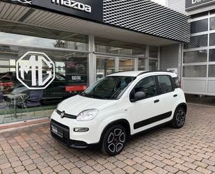 Fiat Panda Gebrauchtwagen