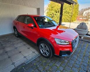 Audi Q2 Gebrauchtwagen