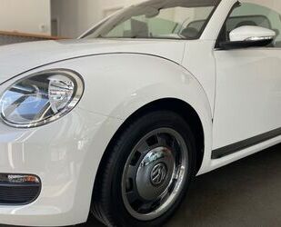 VW Beetle Gebrauchtwagen