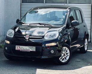 Fiat Panda Gebrauchtwagen