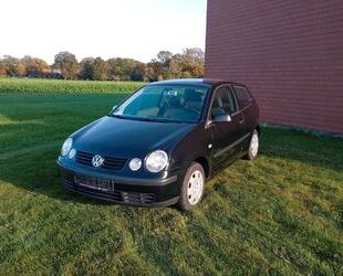 VW Polo Gebrauchtwagen