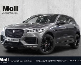 Jaguar F-Pace Gebrauchtwagen