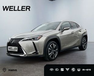 Lexus UX Gebrauchtwagen