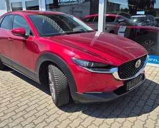 Mazda CX-30 Gebrauchtwagen