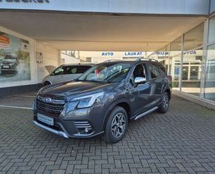 Subaru Forester Gebrauchtwagen