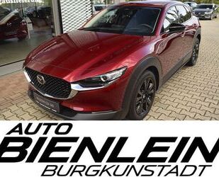 Mazda CX-30 Gebrauchtwagen