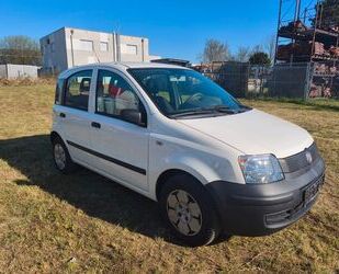 Fiat Panda Gebrauchtwagen
