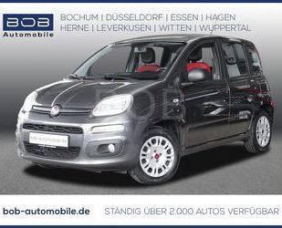 Fiat Panda Gebrauchtwagen