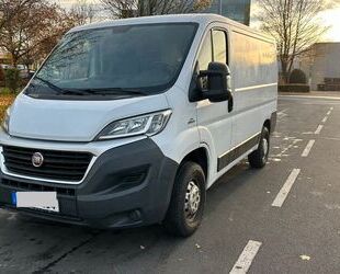 Fiat Ducato Gebrauchtwagen