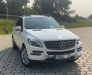 Mercedes-Benz ML 250 Gebrauchtwagen