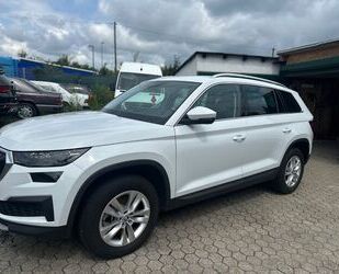 Skoda Kodiaq Gebrauchtwagen