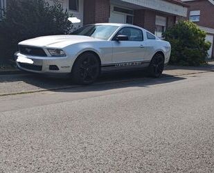 Ford Mustang Gebrauchtwagen