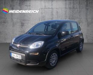 Fiat Panda Gebrauchtwagen