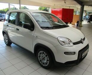 Fiat Panda Gebrauchtwagen