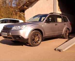 Subaru Forester Gebrauchtwagen
