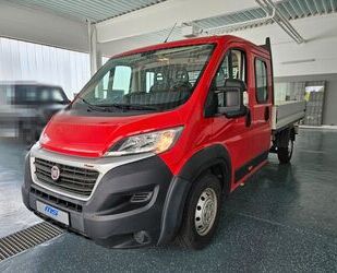 Fiat Ducato Gebrauchtwagen