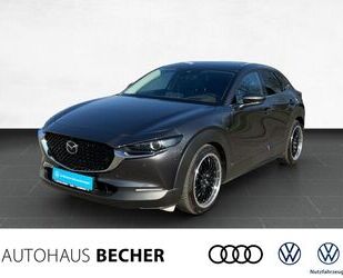 Mazda CX-30 Gebrauchtwagen
