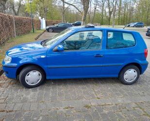VW Polo Gebrauchtwagen