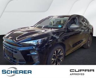 Cupra Terramar Gebrauchtwagen
