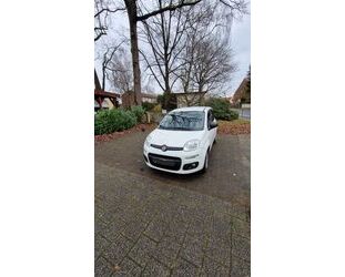 Fiat New Panda Gebrauchtwagen