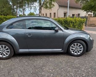 VW Beetle Gebrauchtwagen