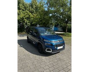 Citroen Berlingo Gebrauchtwagen