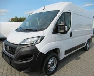 Fiat Ducato Gebrauchtwagen