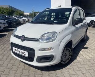 Fiat Panda Gebrauchtwagen