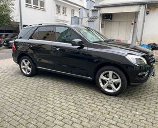 Mercedes-Benz ML 250 Gebrauchtwagen