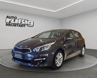 Kia ceed / Ceed Gebrauchtwagen