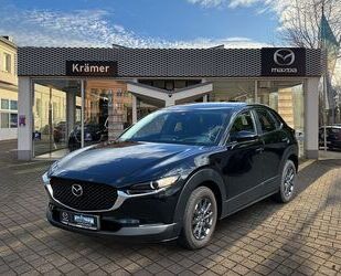 Mazda CX-30 Gebrauchtwagen