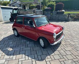 Skoda 1000 