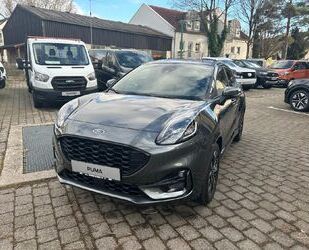 Ford Puma Gebrauchtwagen