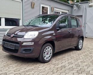 Fiat Panda Gebrauchtwagen