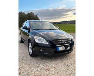 Kia ceed / Ceed Gebrauchtwagen