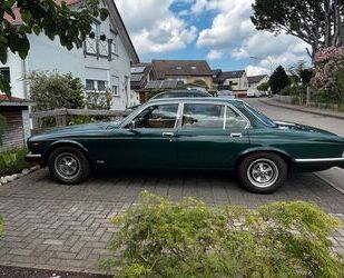 VW XJ6 