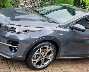 Kia XCeed Gebrauchtwagen