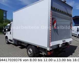 Fiat Ducato Gebrauchtwagen