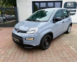 Fiat Panda Gebrauchtwagen