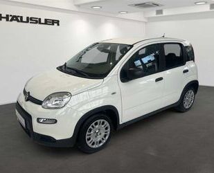 Fiat Panda Gebrauchtwagen