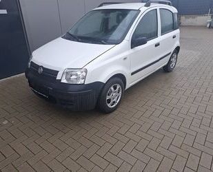 Fiat Panda Gebrauchtwagen
