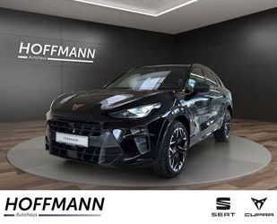 Cupra Terramar Gebrauchtwagen