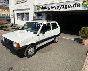 Fiat Panda Gebrauchtwagen