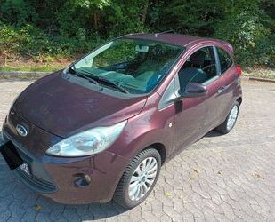 Ford Ka/Ka+ Gebrauchtwagen