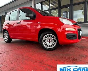 Fiat Panda Gebrauchtwagen