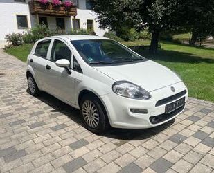 Fiat Punto Gebrauchtwagen