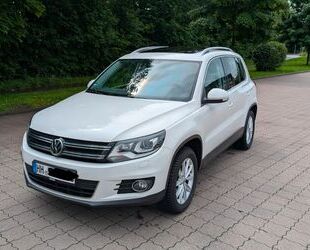 VW Tiguan Gebrauchtwagen