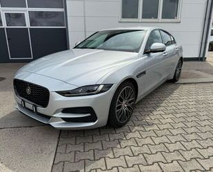 Jaguar XE Gebrauchtwagen