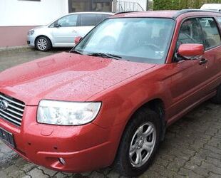 Subaru Forester Gebrauchtwagen