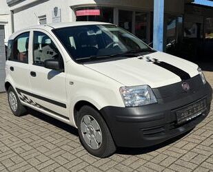 Fiat Panda Gebrauchtwagen